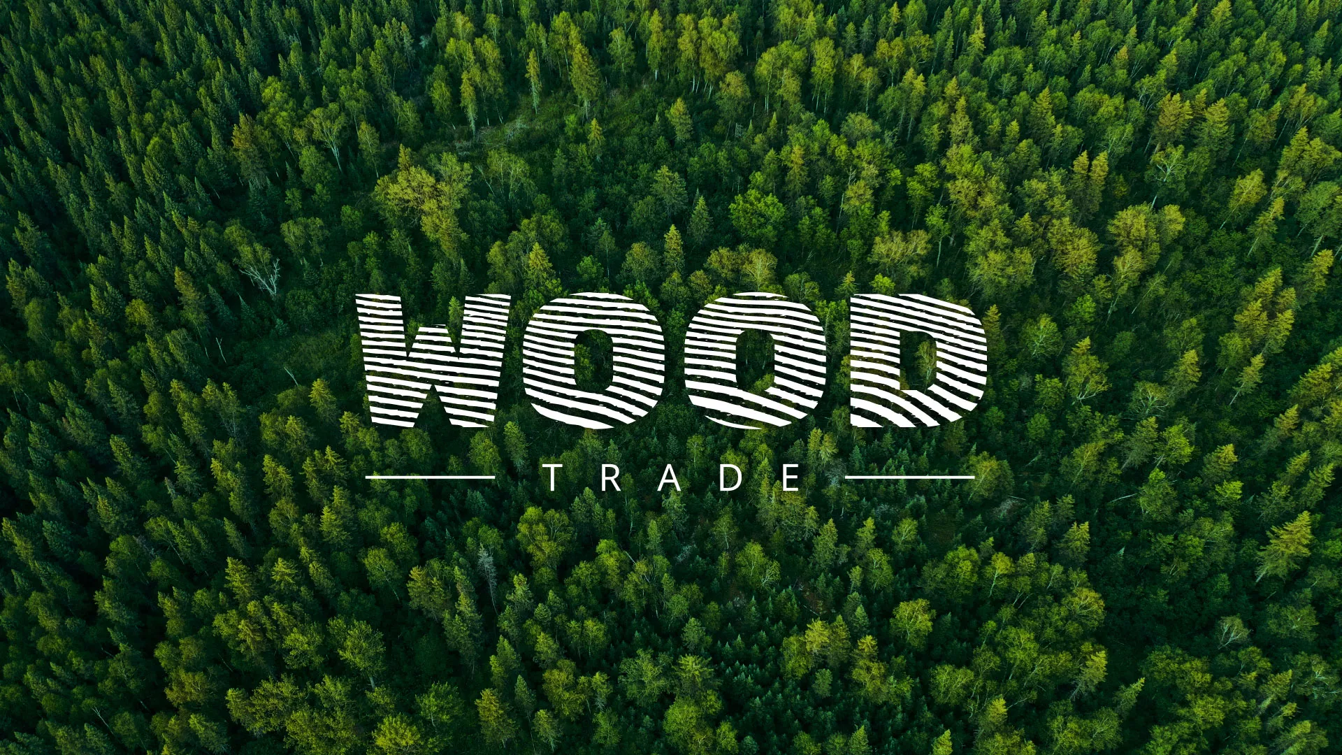 Разработка интернет-магазина компании «Wood Trade» в Спас-Деменске