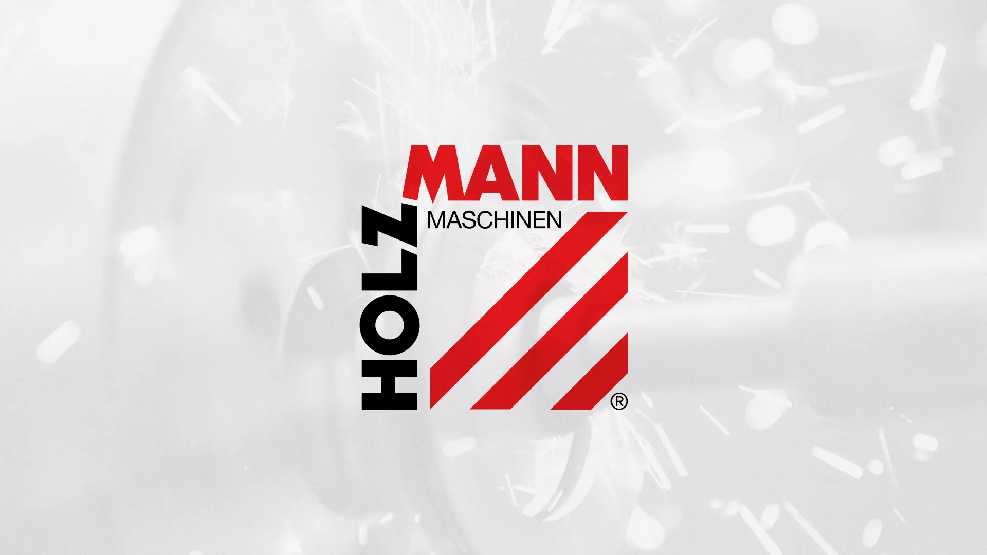 Создание сайта компании «HOLZMANN Maschinen GmbH» в Спас-Деменске