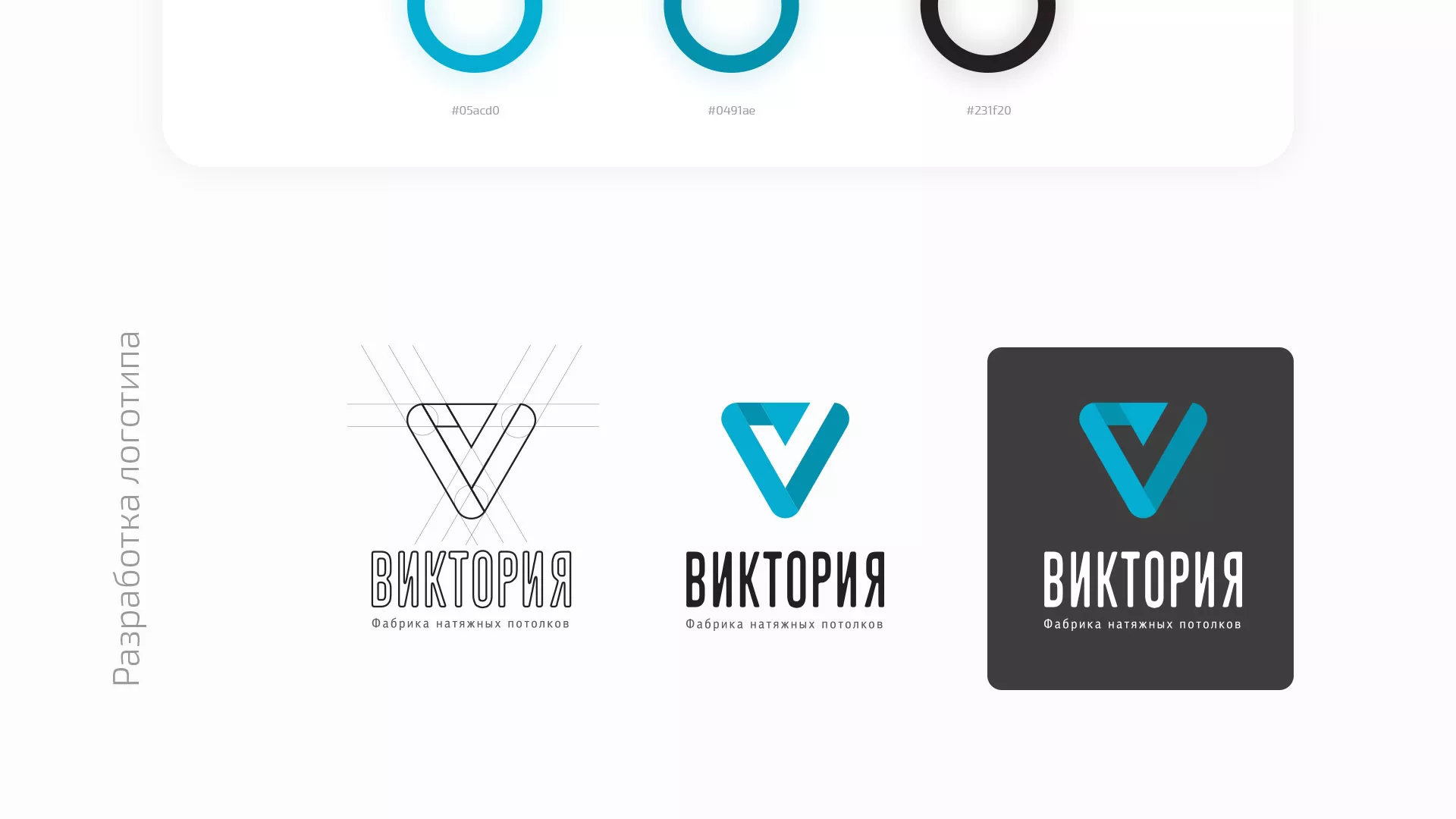 Разработка фирменного стиля компании по продаже и установке натяжных потолков в Спас-Деменске