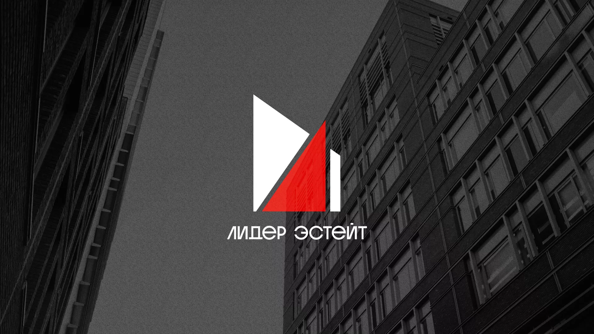 Сделали логотип для агентства недвижимости «Лидер Эстейт» в Спас-Деменске